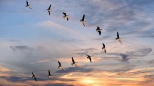 Я в прошлое вернуться не пытаюсь Игорь Виданов