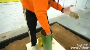 А4 смешные поменты гробы 4