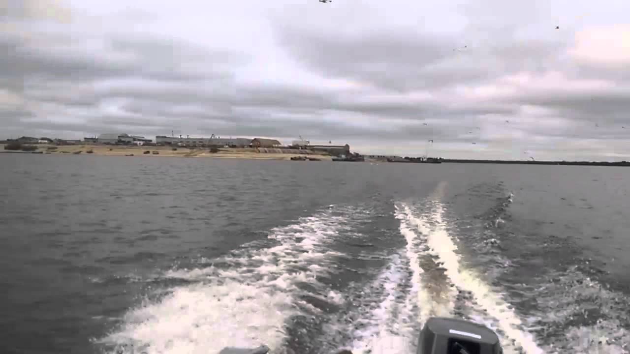 С техосмотра