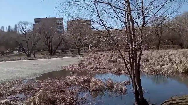 и тут лед не растаял Воронежские озера 13 апр смотреть онлайн