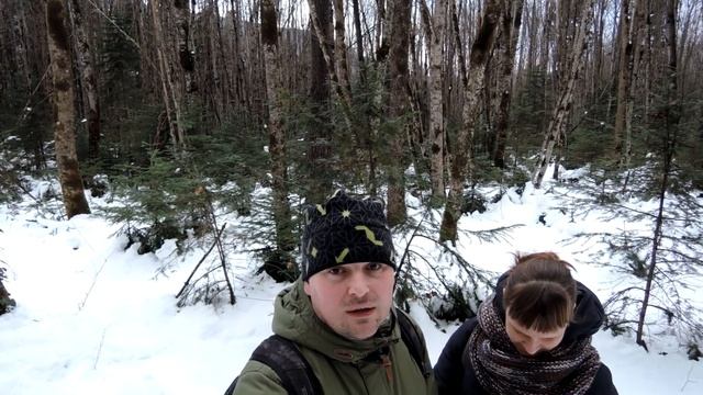 По следам волков в горы, к водопаду "Пальмовый" которого нет/Адыгея смотреть онлайн