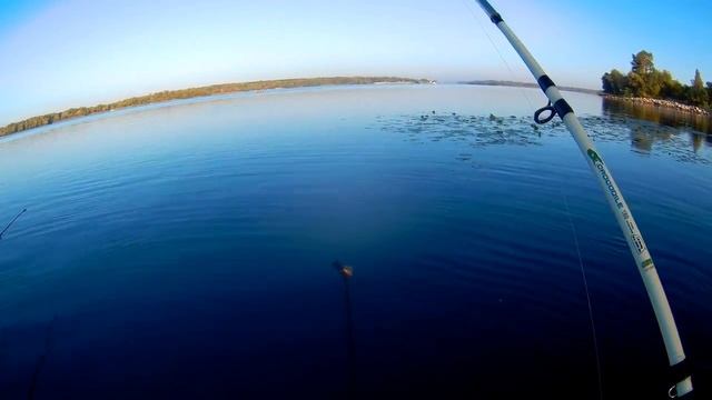 Рыбалка с берега на Днепре в Сентябре плотва на пружину смотреть онлайн