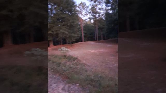 Magnolia Sprints Investigation Audio-B смотреть онлайн