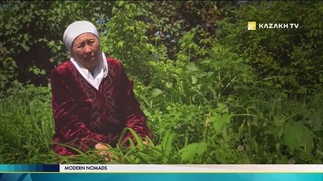 Современные номады №8. Культура казахского орнамента смотреть онлайн