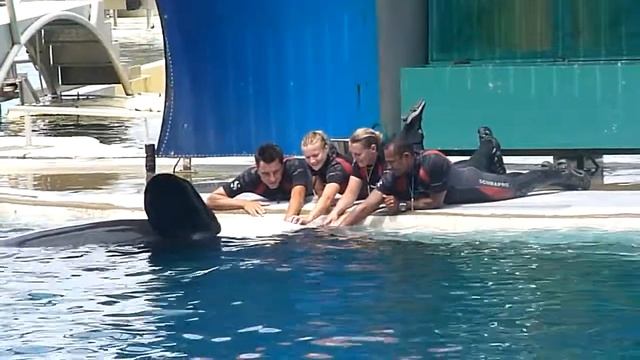 Marineland Antibes I смотреть онлайн