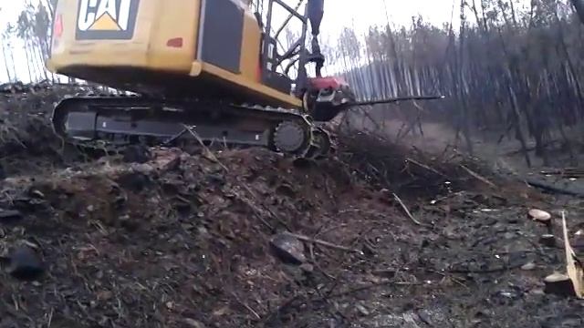 Maquina florestal de corte смотреть онлайн
