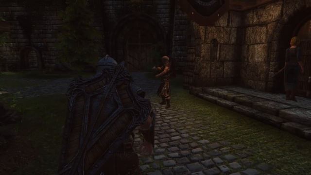 ИМПЕРИЯ vs БРАТЬЯ БУРИ | Кого выбрать? [Skyrim] смотреть онлайн