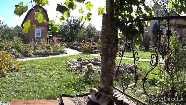 Перекур на даче или как хорошо даже осенью. Vlog.Брест смотреть онлайн