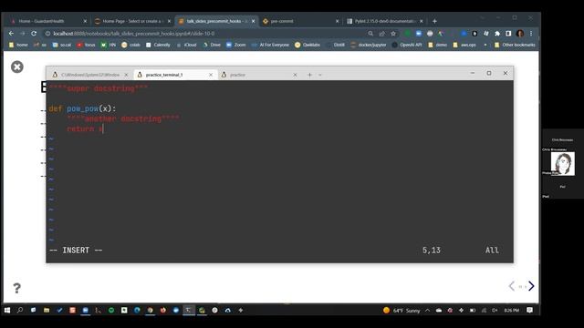 Christopher Brousseau - Pre-commit git hooks - Pyninsula #30 смотреть онлайн