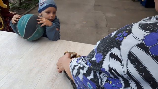 Зеркальный карп лето 18 смотреть онлайн