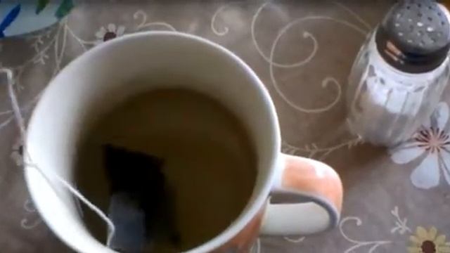 Дегустация чая GREENFIELD, часть 2