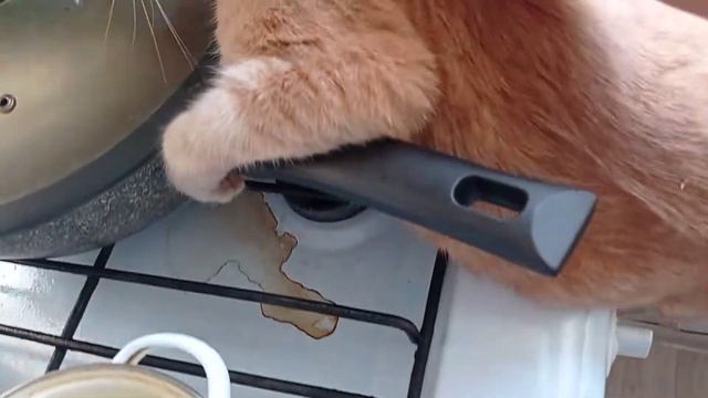 вовремя начала снимать! нечего веньгаться на микроволновке😅