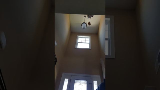 The first ever bunny flying lesson!!!! смотреть онлайн