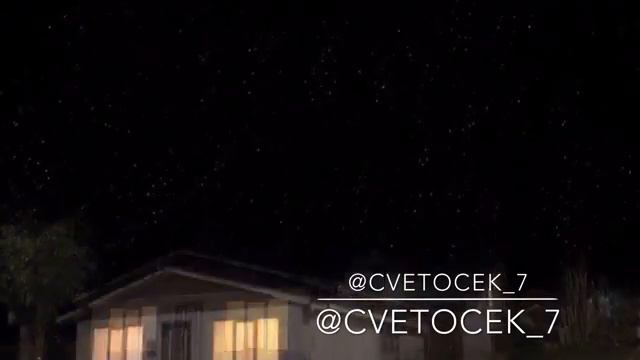 Cvetocek_7 смотреть онлайн