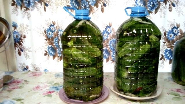 Соленые огурцы на зиму.Эксперимент. смотреть онлайн