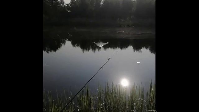 Рыбалка в Заречке на Днепро-Бугском канале смотреть онлайн