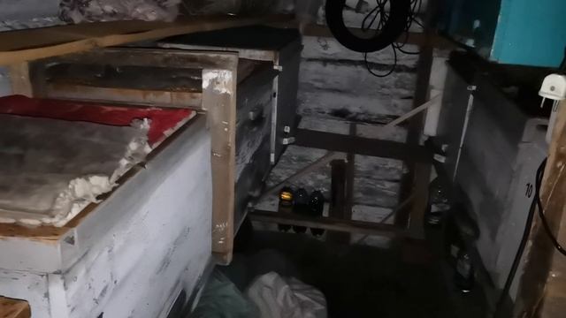 Зимовка пчел в омшанике. Январь, Новосибирская область. смотреть онлайн