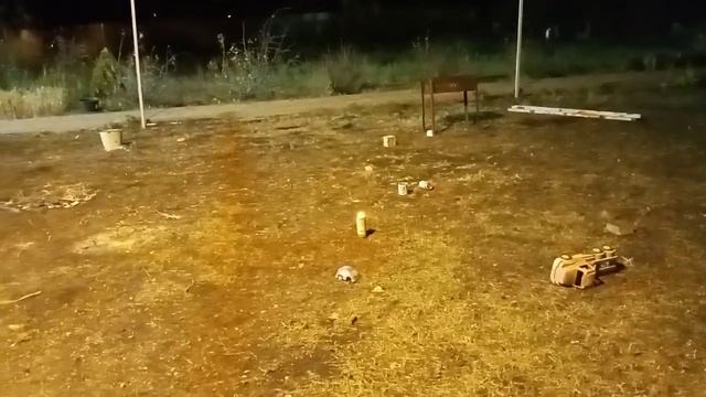 Натрий и серная кислота!