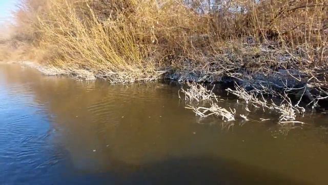 Одиночный сплав по реке Суре в мороз! смотреть онлайн