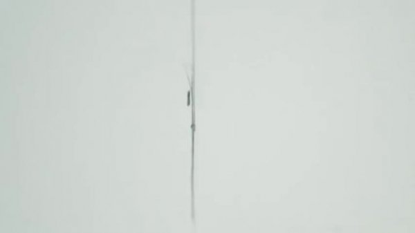 Stephen Wiltshire draws NYC for UBS