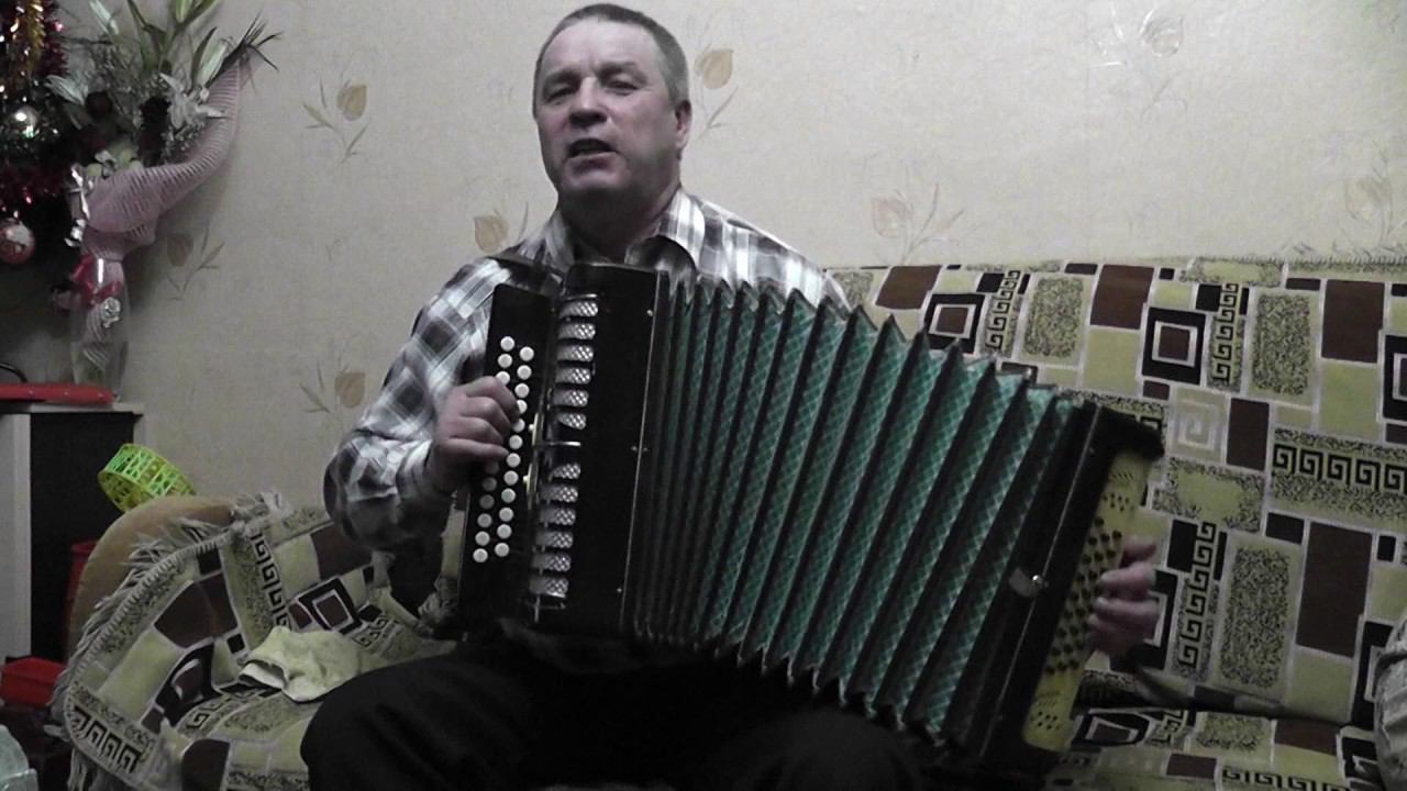 Иван Яковлев. Гармонь. Республика Мордовия. Январь 2017. Туманы туманы, верните мне маму. смотреть онлайн