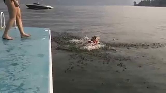 Собака, которая не умеет прыгать) смотреть онлайн