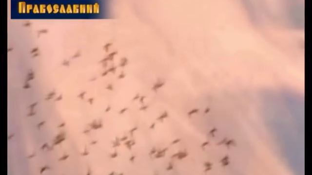 "Глас православный" от 26.07.15 (св. равноап. княгиня Ольга). смотреть онлайн