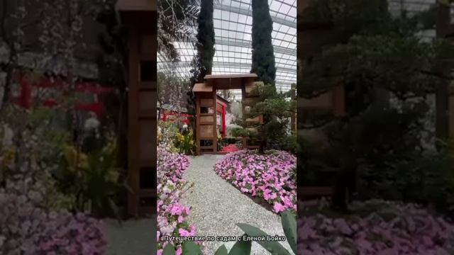 Путешествия по садам мира с Еленой Бойко. Часть 2. смотреть онлайн