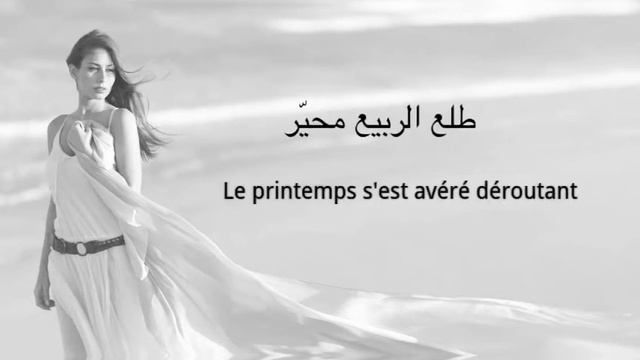 Hiba tawaji, Al Rabih Al Arabi, Lyrics vidéo ( avec traduction française ) смотреть онлайн