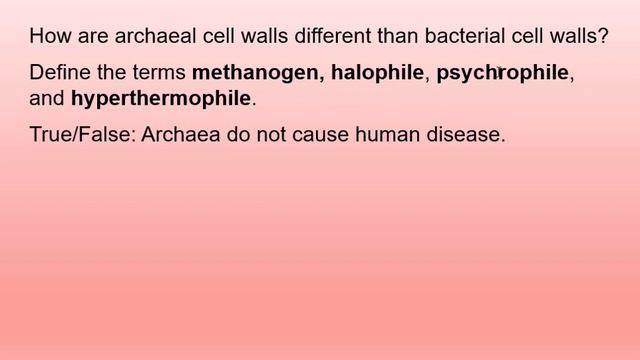 mc ch04 05su22 Archaea смотреть онлайн
