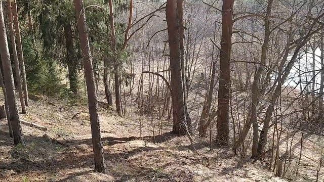 Покатушки на питбайках Не забрался на горку смотреть онлайн