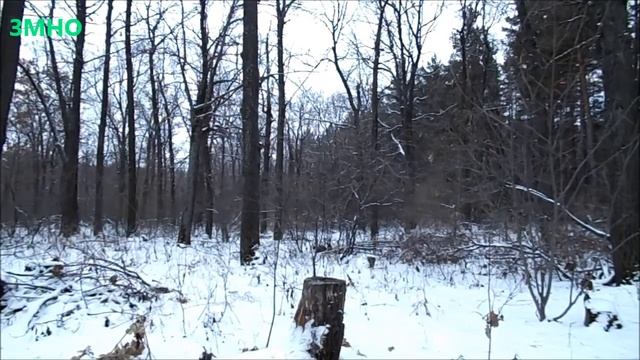 Большой ТЕСТ и ОБЗОР, Спасательных накидок, Грелок для тела, Безпламенного разогревателя, Таганков смотреть онлайн