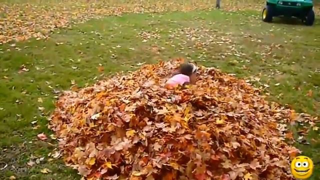 Дети Прыгают в кучу из листьев! Сборник! смотреть онлайн