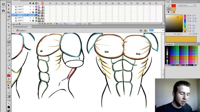 How to draw Torso Anatomy смотреть онлайн
