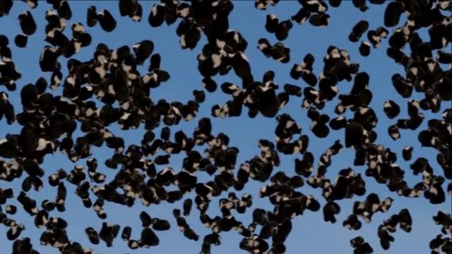 Maxwell dance, but strange( blender animation ) смотреть онлайн