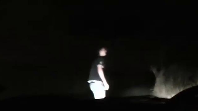 ориг видео из телеграмма ЧИЗОИДА смотреть онлайн