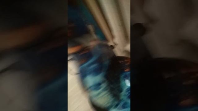 Как пользоваться зарядкой Ниро скутера.В конце видео будет лайфхак смотреть онлайн