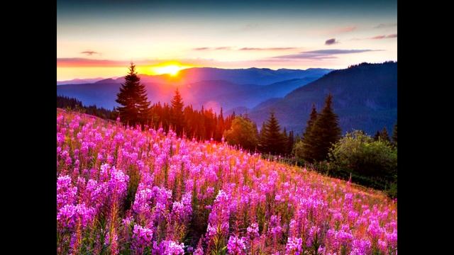 Завораживающая музыка для медитации/Успокаивающая музыка/Mesmerizing Meditation Music/Soothing Musi смотреть онлайн