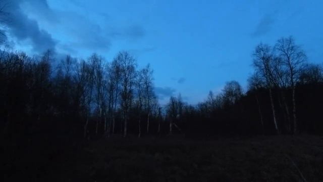 Большая охота на вальдшнепа #3