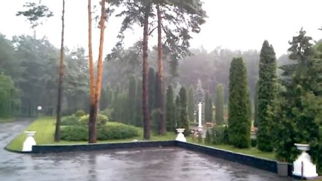 Червона калина смотреть онлайн