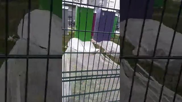 Мини дачи в Париже смотреть онлайн