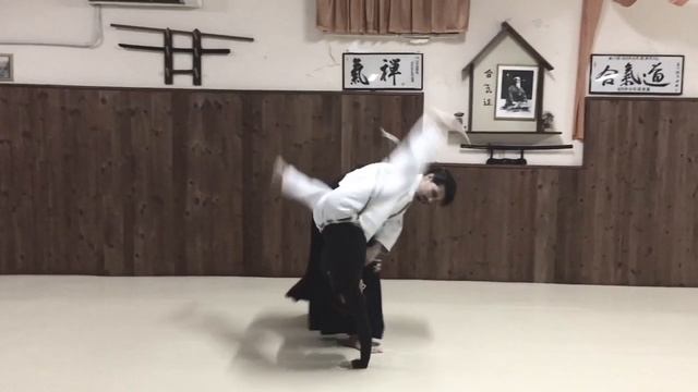 AIKIDO AND CAPOEIRA... FUSION MARTIAL ARTS - AIKIDO ITALIA - CAPOEIRA ITALIA смотреть онлайн