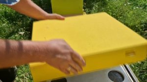 выпуск ИОшек и плодки от Варибруса