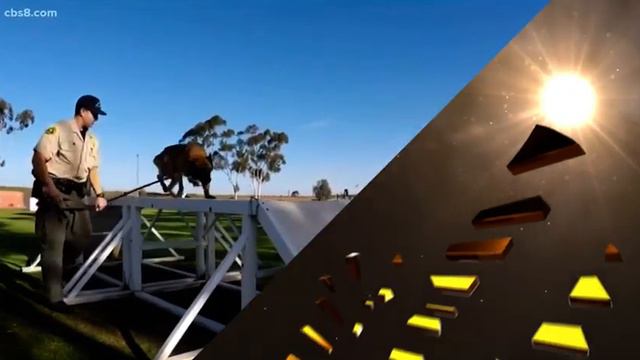 День в истории 08 02 21 смотреть онлайн