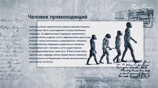 ПОЧЕМУ НЕЛЬЗЯ ДОКАЗАТЬ ТЕОРИЮ ЭВОЛЮЦИИ? | IQ смотреть онлайн