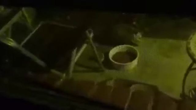 НОЧНОЙ ГОСТЬ ИЗ РОДА СУМЧАТЫХ МЛЕКОПИТАЮЩИХ? смотреть онлайн