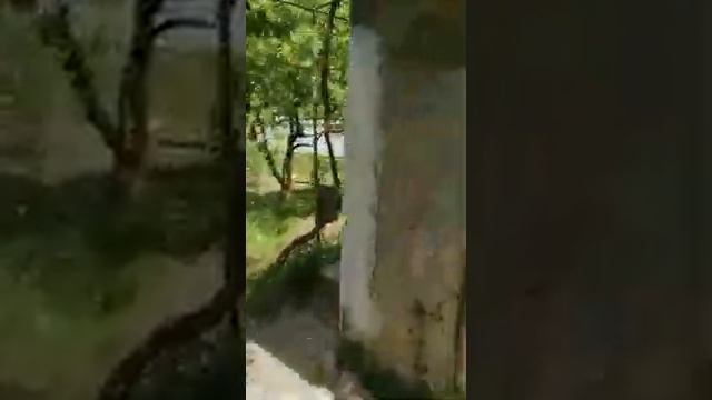 Продаю дачу снт Пищевик смотреть онлайн