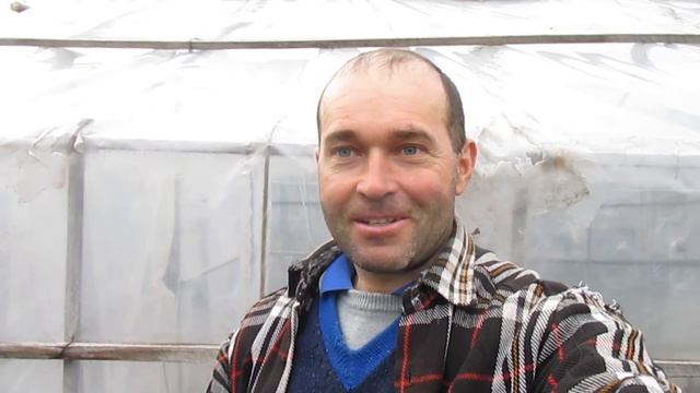 Как использую компост. Высев моркови и томатов. смотреть онлайн