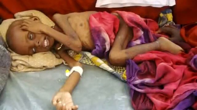 Веганство. Вегетарианство. Правда о мясной промышленности. Угроза жизни человека. смотреть онлайн