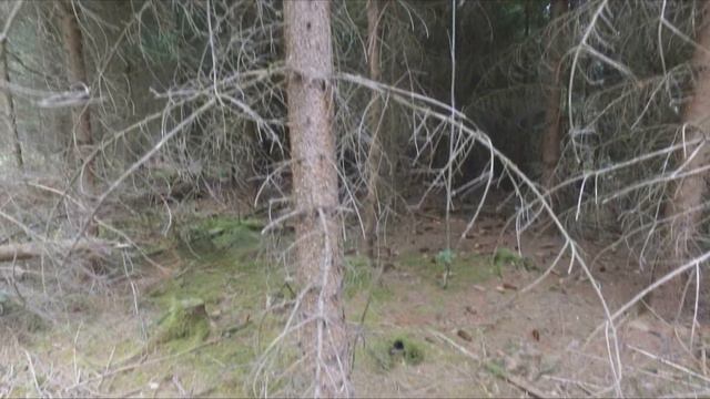 Die Jagd смотреть онлайн